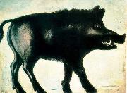 Niko Pirosmanashvili A Black Wild Boar Spain oil painting artist